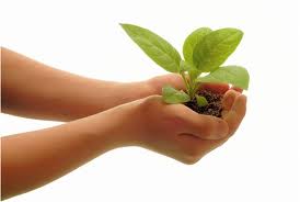 مهندسی بهداشت محیط