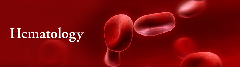 hematology-senior-phd