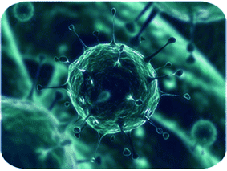 ویروس شناسی virus-virology